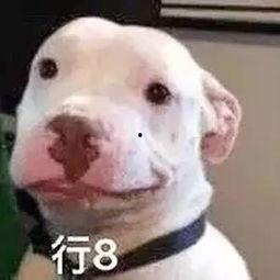 微信娱乐圈吃瓜公众号