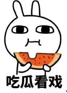 娱乐吃瓜酱石头,石头背后的故事与魅力揭秘